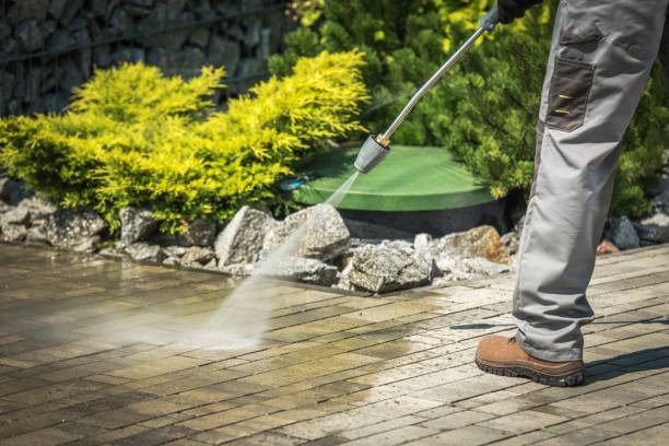 Best Pre-Holiday Cleaning  in North Pekin, IL